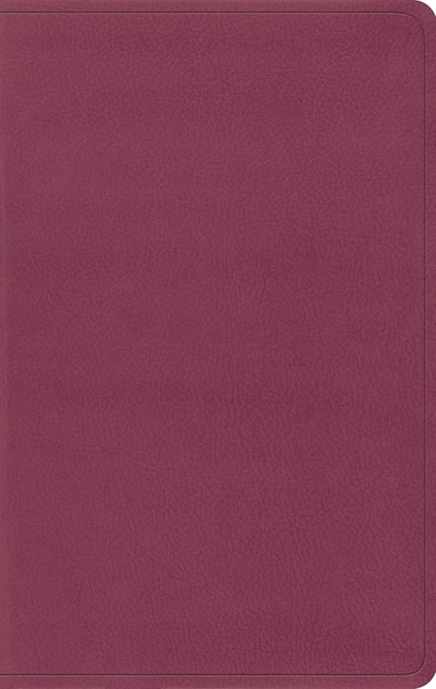 ESV Value Thinline Bible (TruTone, Pink)