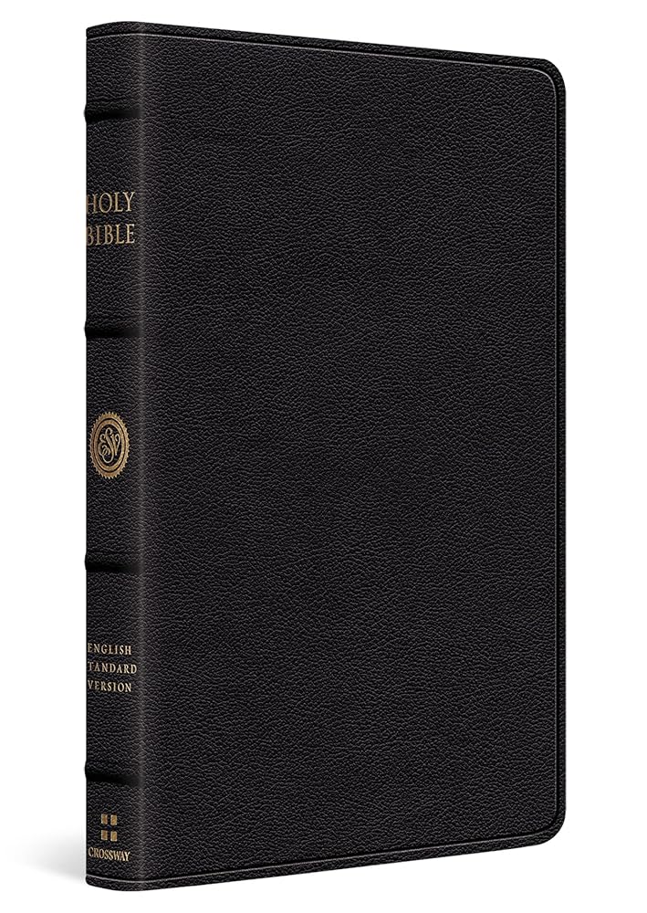 ESV Thinline Bible (Black)