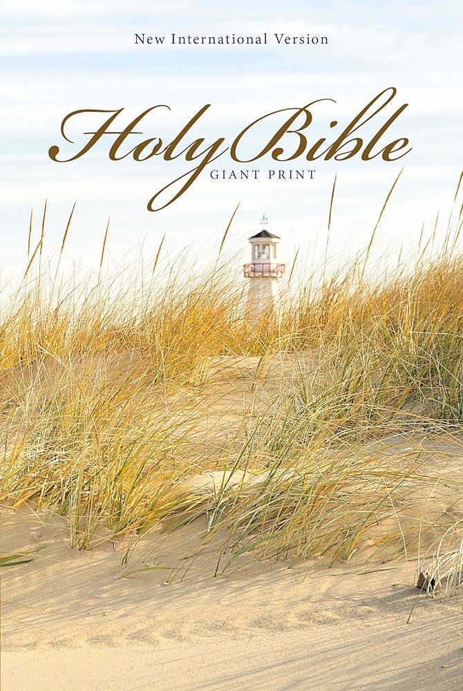 NIV, Holy Bible, Giant Print, Paperback