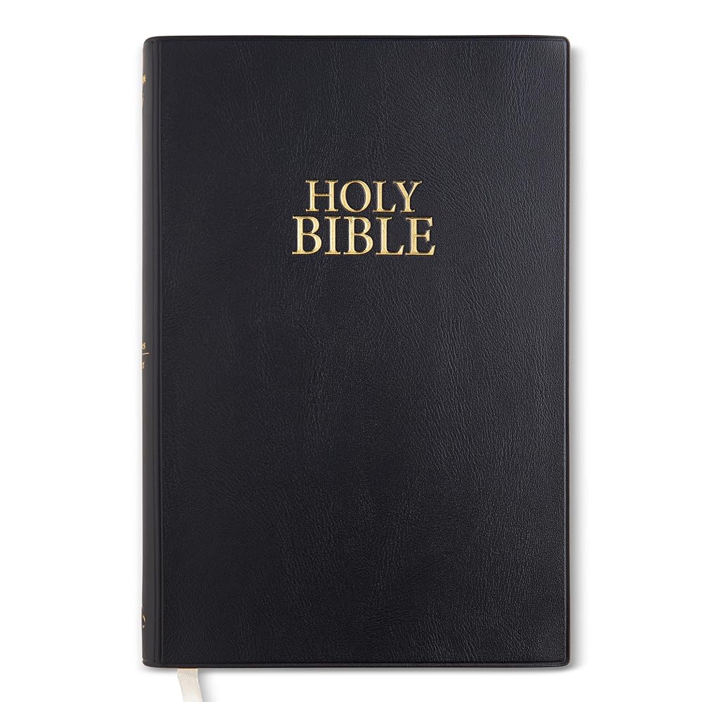 NIV STANDARD NAVY BLACK VINYL BIBLE